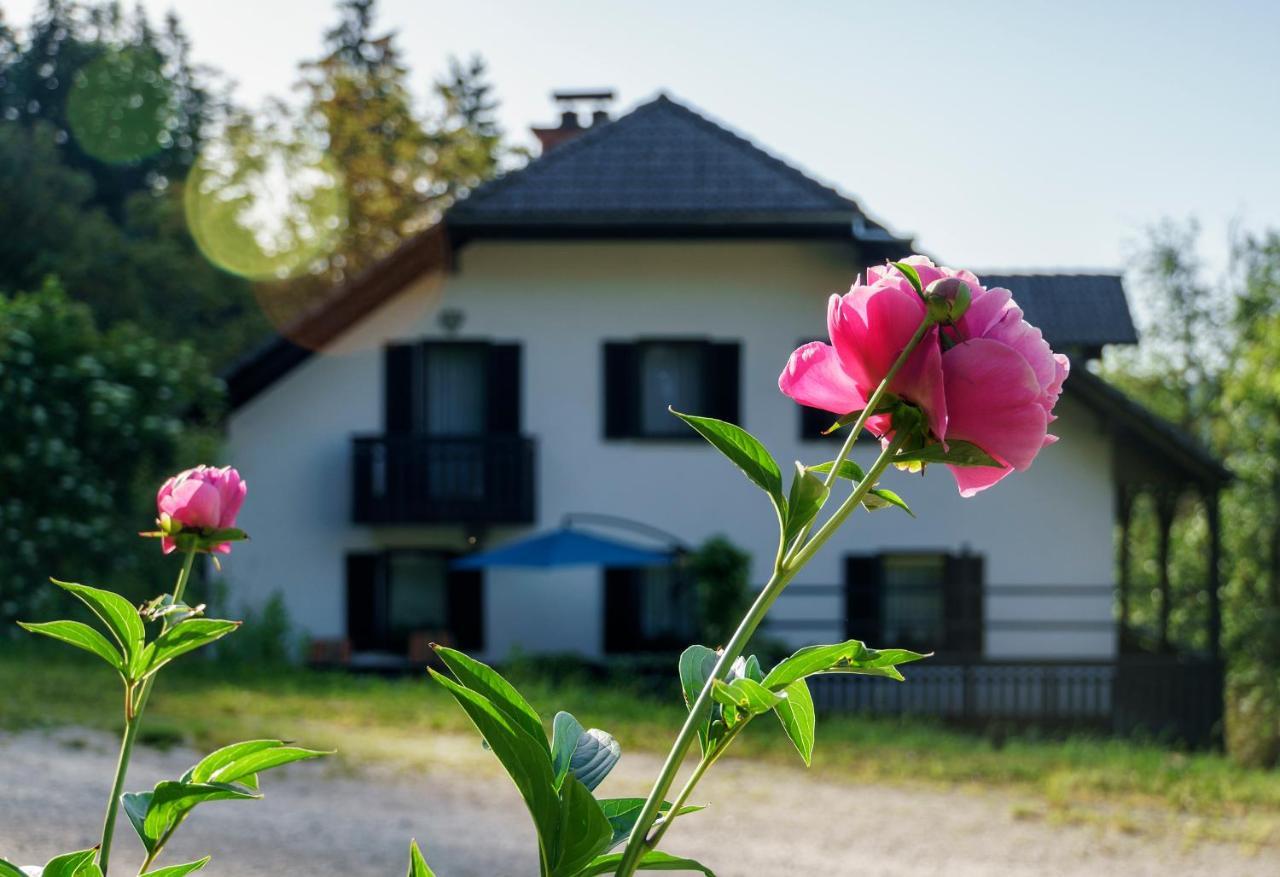 Apartments Zakrasnik Škofja Loka Exterior foto