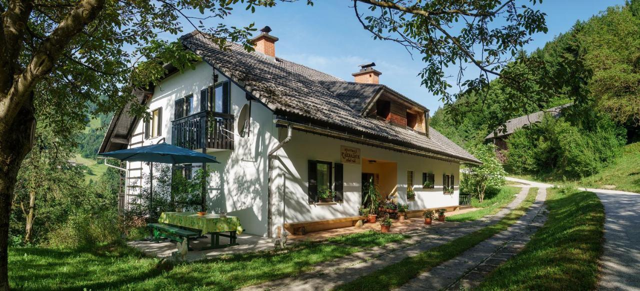 Apartments Zakrasnik Škofja Loka Exterior foto