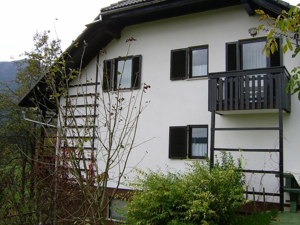 Apartments Zakrasnik Škofja Loka Cameră foto