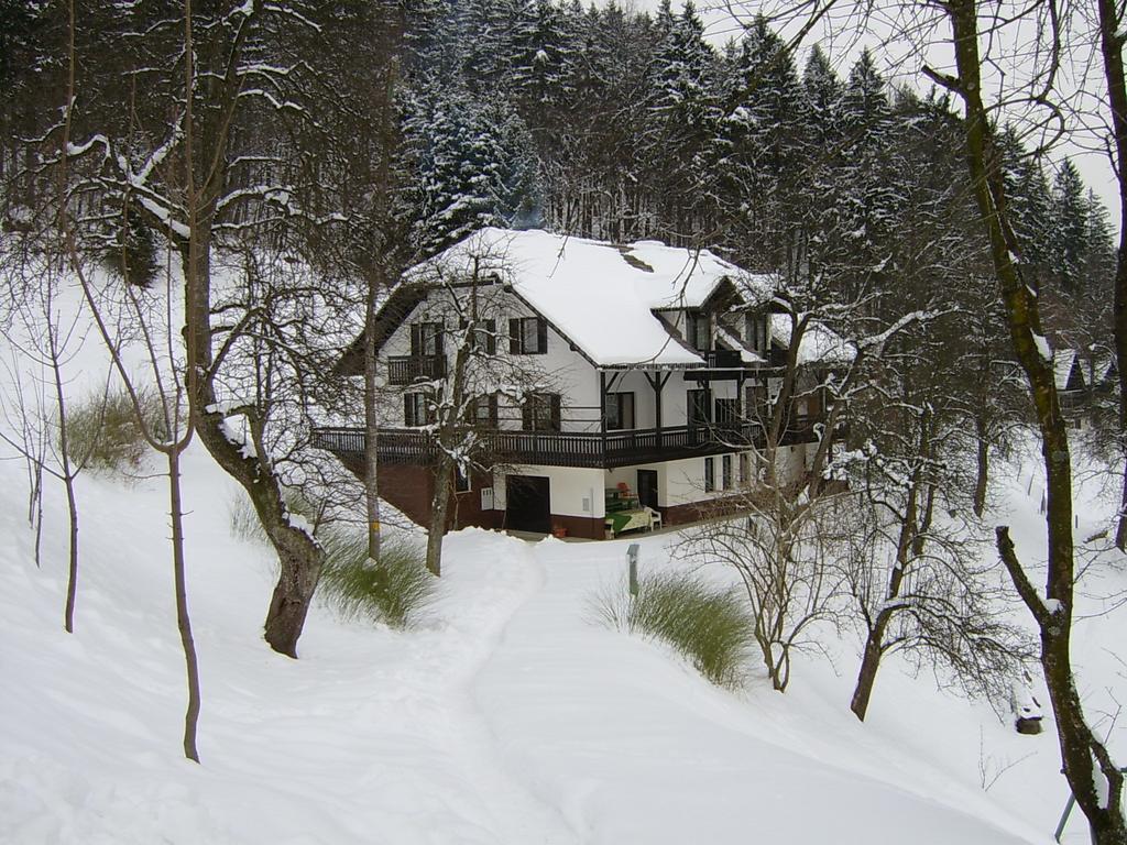 Apartments Zakrasnik Škofja Loka Cameră foto